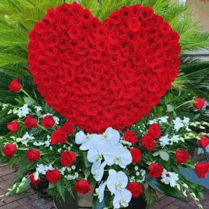 Red Roses Passion