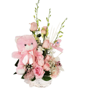 Baby Girl Cute Bear