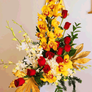 Cymbidium Orchids Yellow
