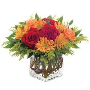 Lovely Surprise