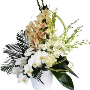 New Begginings Luxury Flowers