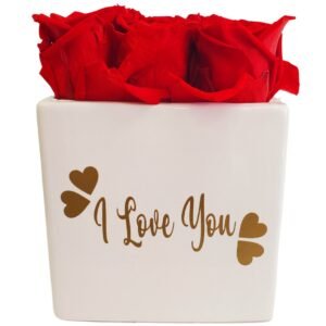Preserved Red Roses Beautiful Ceramic Vase