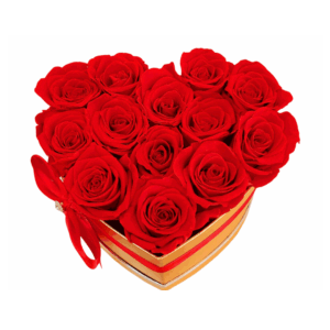 Preserved Roses