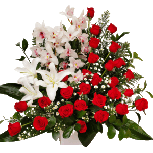 Red Roses, Lilies & Orchids Extravaganza