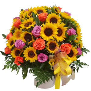Special Sunshine