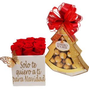 Merry Chrismas Preserved Roses