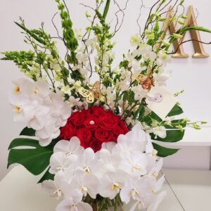 Orchid Waterfall Extrevaganza